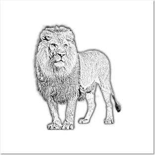 LION SKETCH Posters and Art
